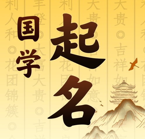 镇远国学起名 人工起名一对一